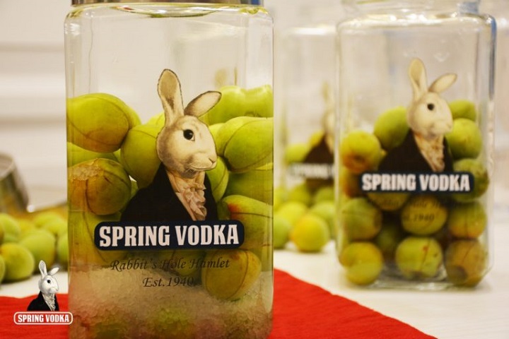 Spring Vodka 伏特加釀酒酒譜:梅子酒 精選圖集紀錄 (5)
