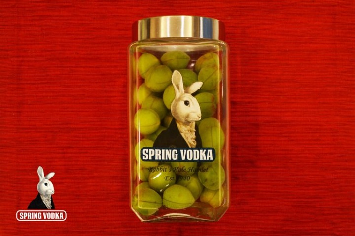 Spring Vodka 伏特加釀酒酒譜:梅子酒 精選圖集紀錄 (4)