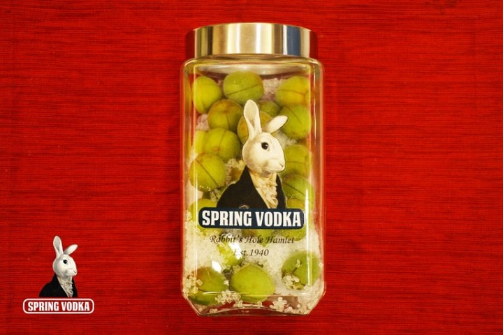 Spring Vodka 伏特加釀酒酒譜:梅子酒 精選圖集紀錄 (7)